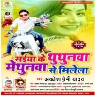 Saiya Ke Thuthunwa Methunwa Se Milela (Awdhesh Premi Yadav) Mp3 Song