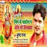 Nim Ke Pataiya Pa Jai Maa Likhata (Bullet Raja) Mp3 Song