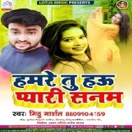 Hamare Tu Hau Pyari Sanam (Mithu Marshal) Mp3 Song