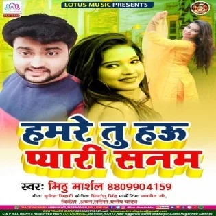 Hamare Tu Hau Pyari Sanam (Mithu Marshal) Mp3 Song