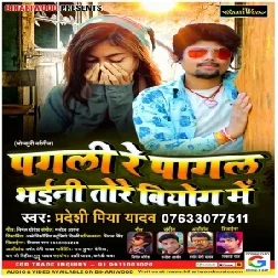 Pagli Re Pagal Bhaili Tora Biyog Me (Pradeshi Piya Yadav) Mp3 Songs