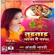 Tudtard Nata Ye Papa (Anjali Bharti)