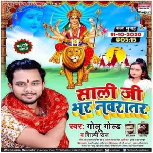 Saali Ji Bhar Navratar (Golu Gold, Shilpi Raj) Dj Song