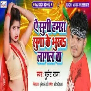 Ae Sugi Hamra Suga Ke Bhukh Lagal Ba (Bullet Raja) Mp3 Song