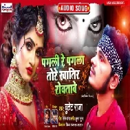 Pagali Re Pagala Tore Khatir Rovatawe (Bullet Raja) 2020 Mp3 Song