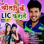 Choli Ke LIC Karale (Shashi Lal Yadav) Mp3 Songs