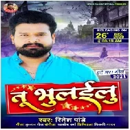 Tu Bhulailu (Ritesh Pandey) 2020 Mp3 Song