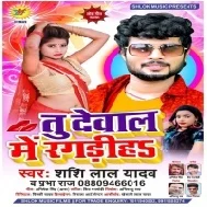 Tu Dewal Me Ragadiha (Shashi Lal Yadav)