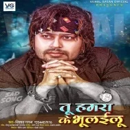 Tu Hamra Ke Bhulailu (Vishal Gagan) 