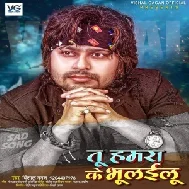 Tu Hamra Ke Bhulailu (Vishal Gagan) 2020 Mp3 Song