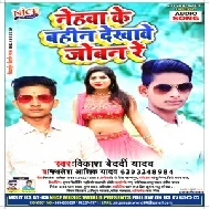 Nehawa Ke Bahin Re Dekhawele Joban Re (Vikash Bedardi Yadav , Mithalesh Ashiq Yadav ) Mp3 Song