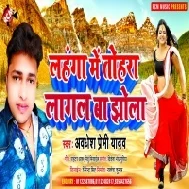 Lahanga Me Tohara Lagal Ba Jhola Mp3 Song