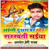 Puja Path Aa Ke Para Paiya Aaili Duwara Par Mor Sarswati Maiya Mp3 Song