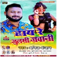 Hay Re Julami Jawani (Anil Anjan) Album Mp3 Song