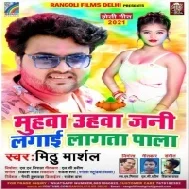 Muhawa Uhawa Jani Lagai Lagta Pala Mp3 Song