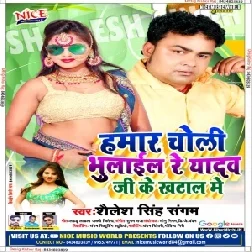 Hamar Choli Bhulail Re Yadav Ji Ke Khatal Me (Shailesh Singh Sangam) Mp3 Song