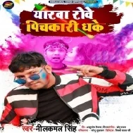 Saiya Rowe Saari Dhake Eyarwa Rowe Pichkari Dhake Kekra Auri Jaai Ho Mp3 Song