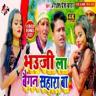 Bhauji La Baigan Sahara Ba (Awadhesh Premi Yadav) Mp3 Song