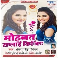 Tohare Raja Ho Chalile Sanwar Ke Pyar Transfer Kar Da Mp3 Song