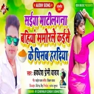 Saiya Matilagana Bahiya Mamorale Kaise Ke Pisab Haradiya Mp3 Song