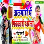 Bhauji Saari Biche Banawali Almari Ho Ohi Me Pichkari Dhareli Mp3 Song