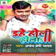 Mat Jaihe Jado Toli Uhe Holi Hola Pani Rediwater Me Daal Dihe Bhola Mp3 Song