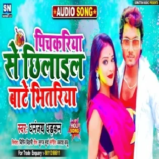 Ae Jija Raur Pichkariya Se Chhilail Bate Bhitariya Mp3 Song