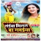 Saiya Milal Ba Gawaiya Mp3 Song