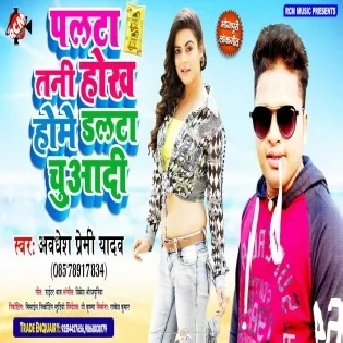 Palta Tani Hokh Home Dalta Chuwadi Mp3 Song