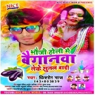 Bhauji Holi Me Baiganwa Leke Sutal Badi Mp3 Song