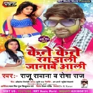 Kene Rang Dali Janabe Aali Mp3 Song