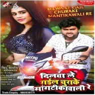 Dilwa Le Gail Churake Mantika Wali Re Mp3 Song