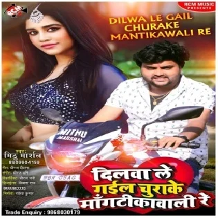 Dilwa Le Gail Churake Mantika Wali Re Mp3 Song