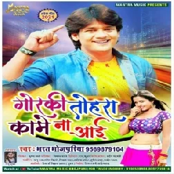 Goraki Tohra Kame Na Aai (Bharat Bhojpuriya) Mp3 Song