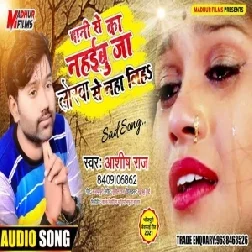 Pani Se Ka Nahibu Ja Lorwe Se Naha Liha (Ashish Raj) Mp3 Song