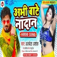 Padhe Na Jaye Sajanwa Ho Abhi Bate Nadan Mp3 Song