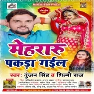 Kunware Me Rahis Te Bane Wala Maai Batawalas Tohar Bhai (Funny Song) Mp3 Song