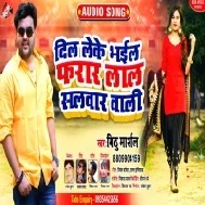 Hamar Dil Leke Ho Gail Farar Ki Lal Salwar Wali Mp3 Song