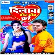 Dilwa Choy Choy Kare (Bullet Raja) 2021 Mp3 Song