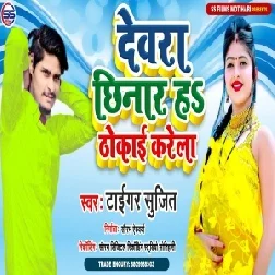 Dewra Chhinar Ha Thokai Karela (Sujit Tiger) 2021 Mp3 Songs