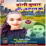 Bani Kuwar Ta Jaroorat Ba Mp3 Song