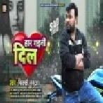 Har Gaini Dil Tohara Pa Hamar Rani Ho Mp3 Song