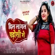 Chori Chori Dilwa Choraile Ba Laika Ago Pados Ke Mp3 Song