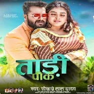 Taadi Pike (Khesari Lal Yadav) 2021 Mp3 Song