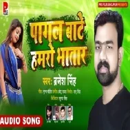 Eyarau Toharo Se Besi Pagal Bate Hamro Bhatar Mp3 Song