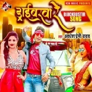 Roje Marela Hampe Najarwa Re Driverwa Re Mp3 Song