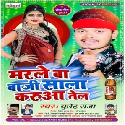 Marle Ba Baji Sala Karuaa Tel (Bullet Raja) 2021 Mp3 Song