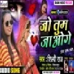 Jao Ge Je Tum Is Tarah Chod Ke Sanch Kahati Umar Bhar Na Sambhal Paoge Mp3 Song