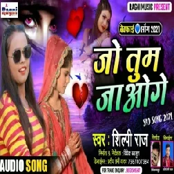 Jo Tum Jaoge (Shilpi Raj) 2021 Mp3 Song