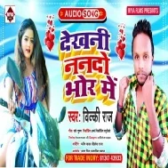 Dekhni Nando Bhor Me Mp3 Song